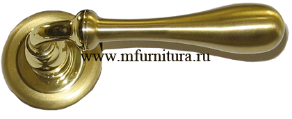 ����� ��������� ������