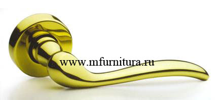 ����� ��������� ������